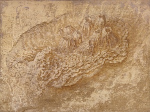 Морская раковина с балянусами 1995