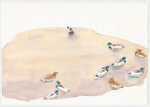 From the "Island" series 2024
