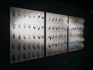 The Volume of Desires, or Various Kinds of Emptiness (6 panels) 2010-2011