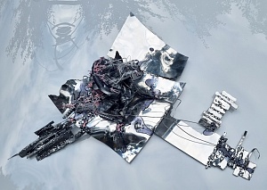 In Search of Organic Fuel. From the series "Archiving Post-Human Compost" 2026