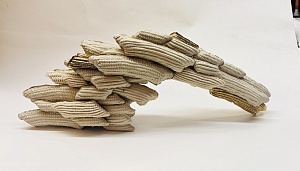 Возможности 2. В соавторстве с Лидией Педак 2025