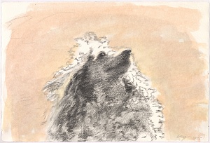 Poodle. From the series "Not for Service, but for Friendship" 2025