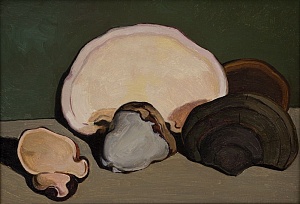Chaga Mushrooms 1956-1957