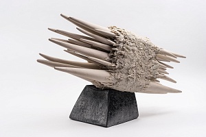 Астрид. Нервная нестабильность. В соавторстве с Лидией Педак 2022